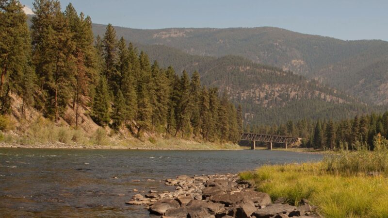 A beautiful view of a river and forest in Saint Regis, Montana, showcasing natural serenity.